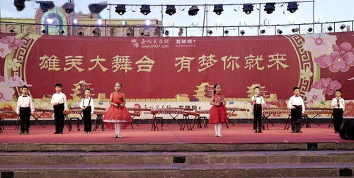 雄关大舞台 博辉艺术学校与临风堂书画院专场演出圆满落幕，推动文化艺术交流